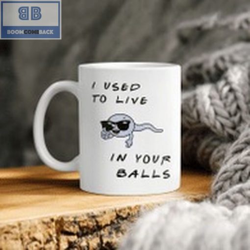 Sperm I Used To Live In Your Balls Mug