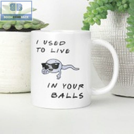 Sperm I Used To Live In Your Balls Mug