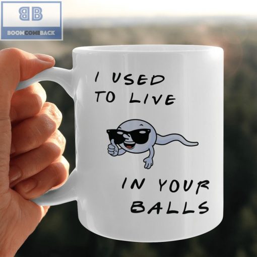 Sperm I Used To Live In Your Balls Mug