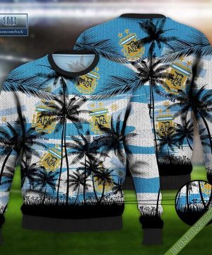 Argentina Coconut World Cup 2022 Champions 3D Sweater And Hoodie T-Shirt