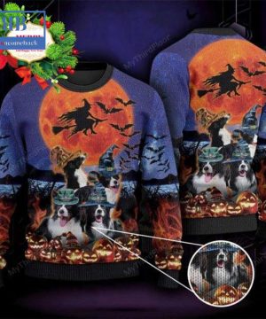 Border Collie Witch Halloween Ugly Christmas Sweater