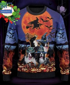 Border Collie Witch Halloween Ugly Christmas Sweater