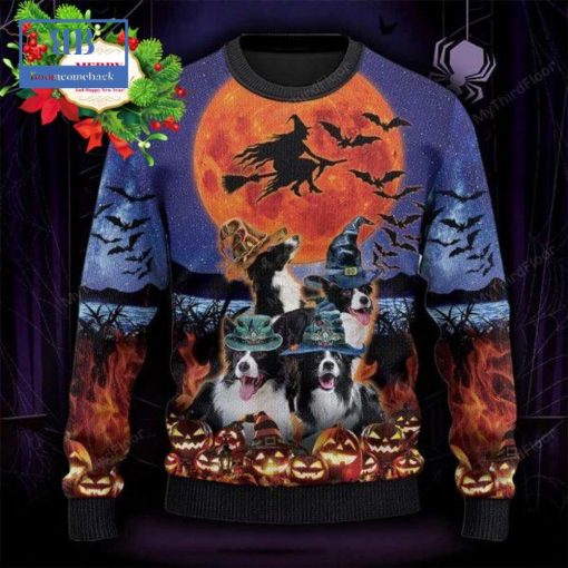 Border Collie Witch Halloween Ugly Christmas Sweater