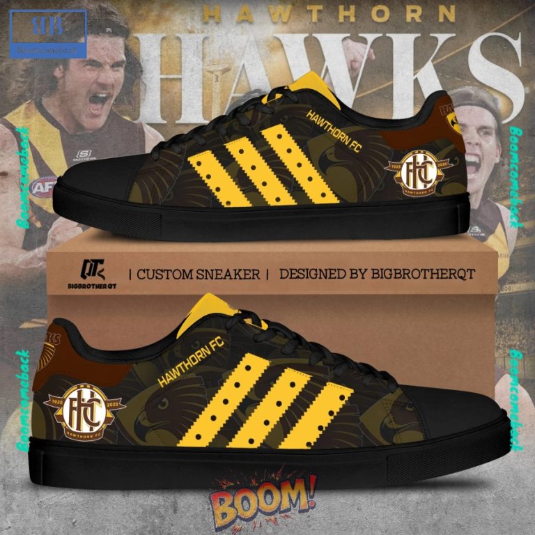 AFL Hawthorn 100 Years Anniversary Stan Smith Shoes