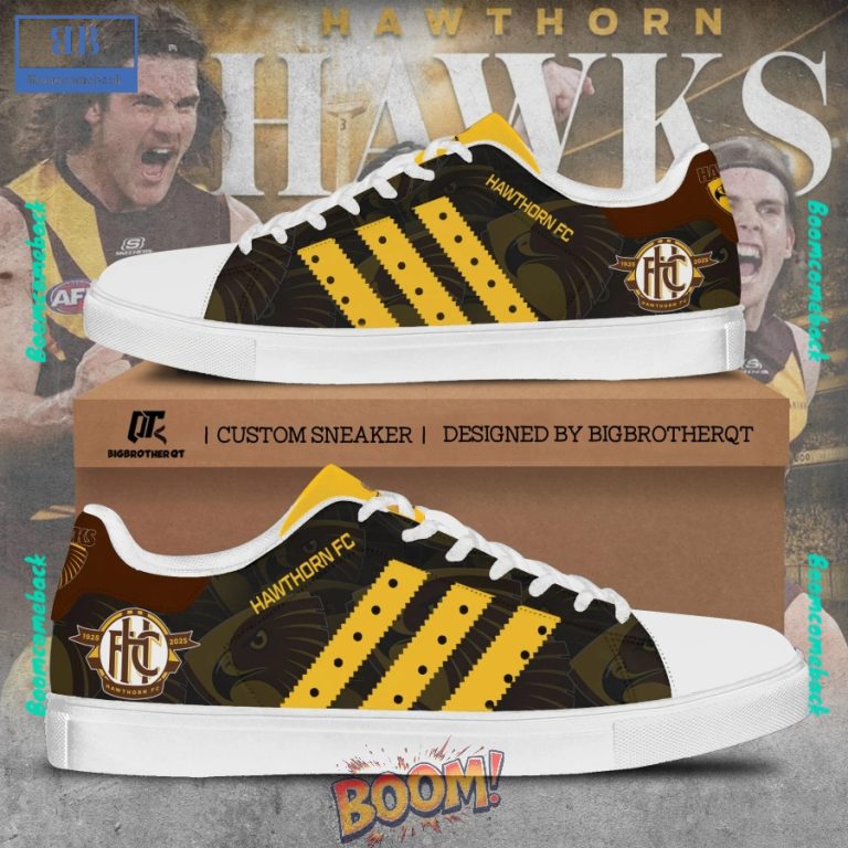 AFL Hawthorn 100 Years Anniversary Stan Smith Shoes